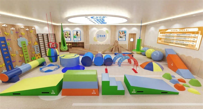 芝士象感統課程師資培訓 芝士象感統課程師資培訓