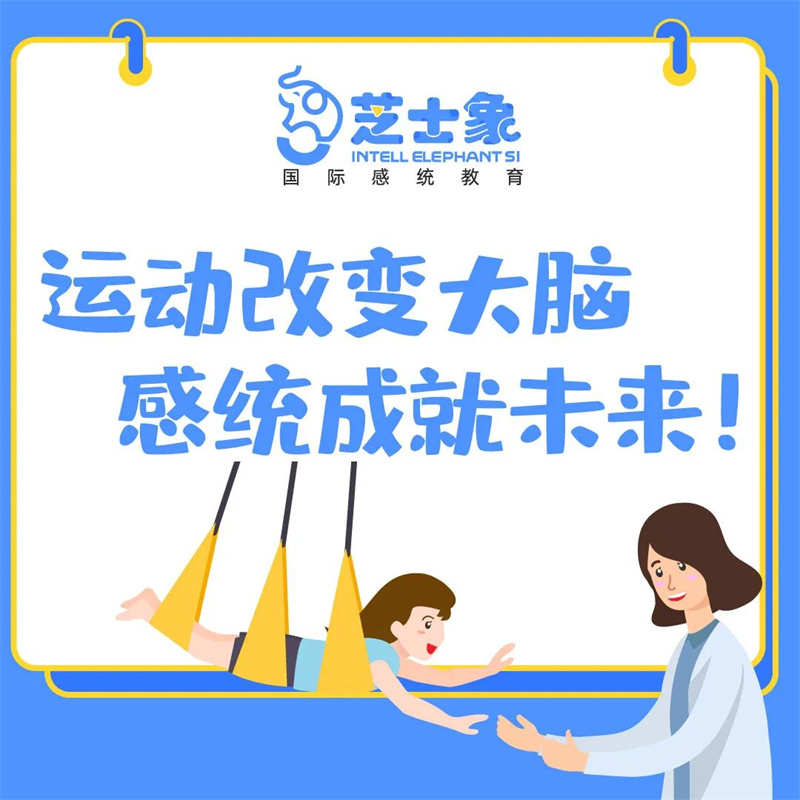 芝士象感統課程師資培訓 芝士象感統課程師資培訓